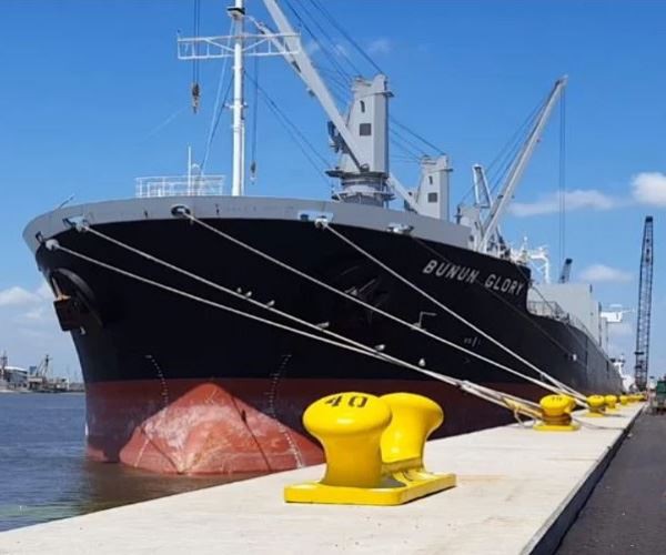 Double Bitt Bollard for terminal berths