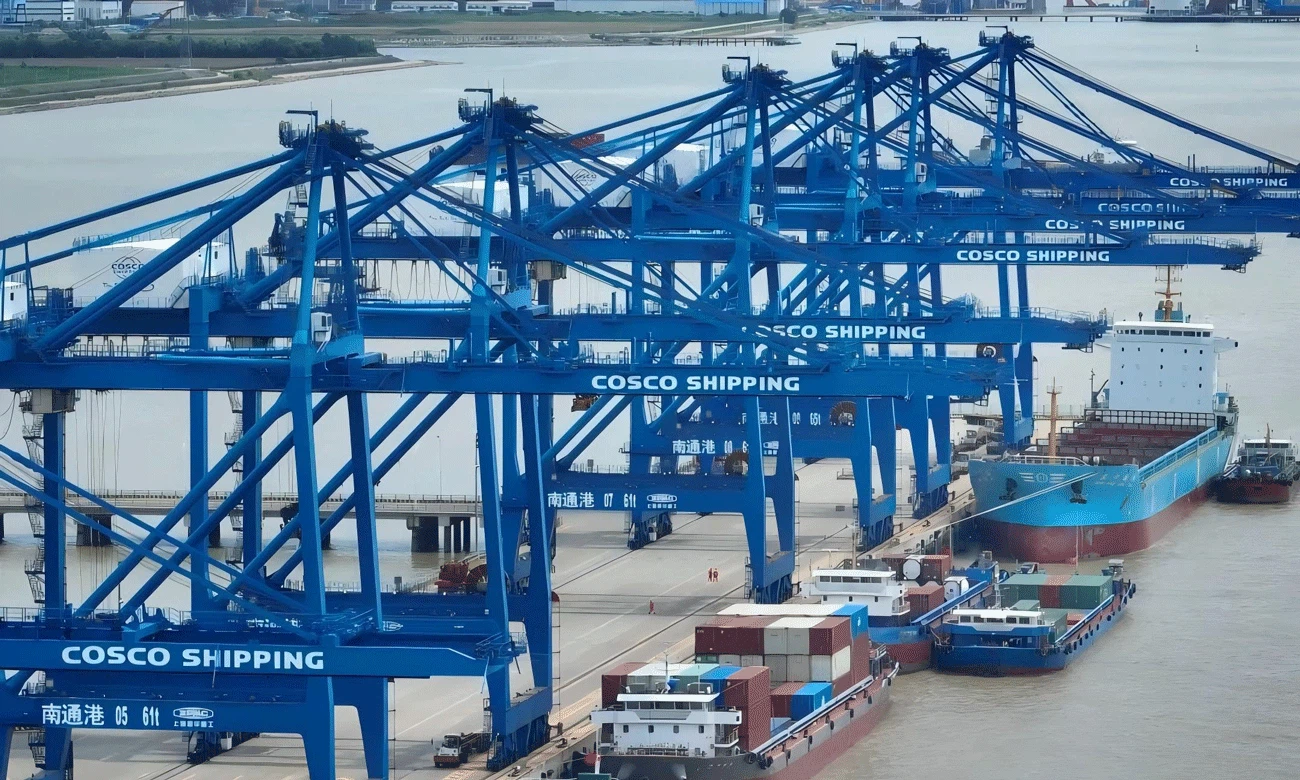 Shanghai Mountains Delivers 430 Set D-Type Rubber To Boost Nantong Port's Safety Upgrade Shanghai Mountains Delivers 430 Set D-Type Rubber To Boost Nantong Port's Safety Upgrade